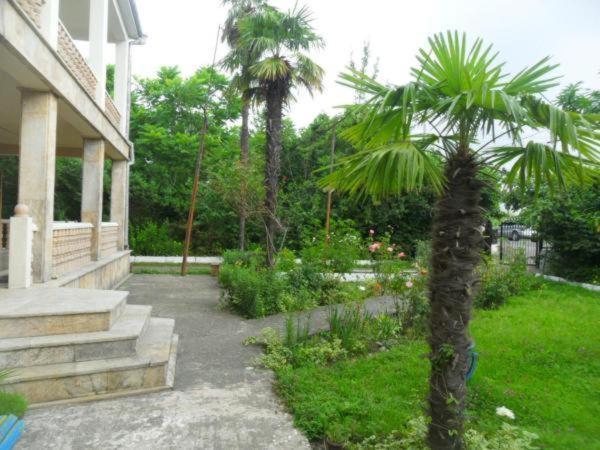 Dani'S House Διαμέρισμα Kobuleti Εξωτερικό φωτογραφία