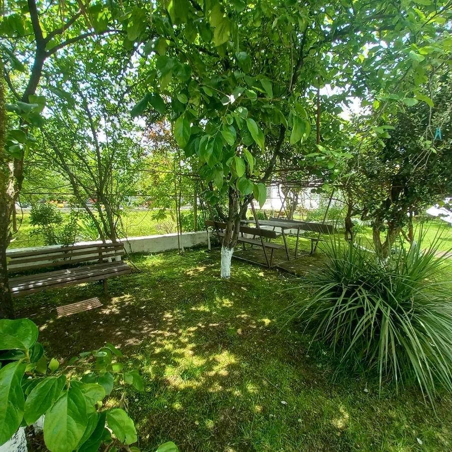 Dani'S House Διαμέρισμα Kobuleti Εξωτερικό φωτογραφία